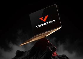 Vexora logo design