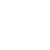 next Zen logo